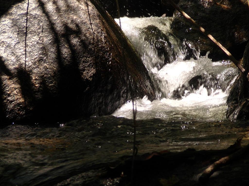 Ytororô O som das águas Parati Esterno foto