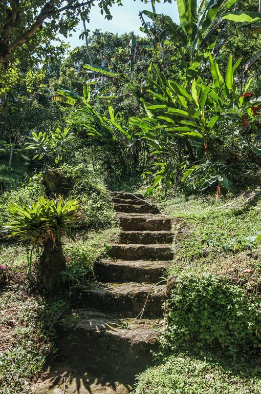 Ytororô O som das águas Parati Esterno foto